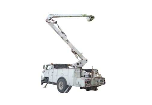 CAMIÓN CANASTILLA 1